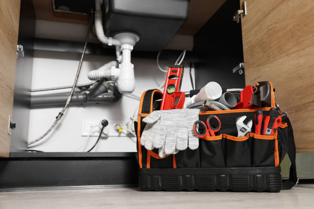 Best Shower Repair Services  in Ellisville, MO