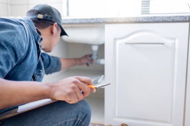Best Local Plumber Services  in Ellisville, MO