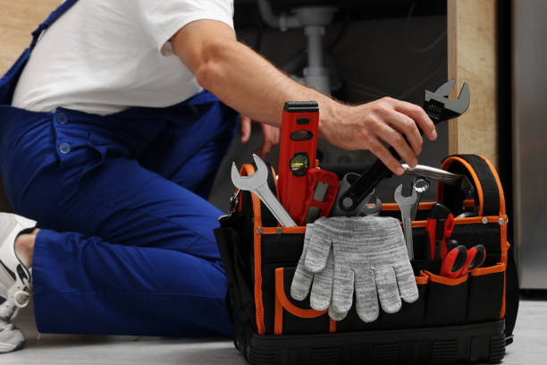 Best Commercial Plumbing Services  in Ellisville, MO