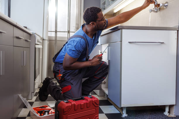 Best Clogged Drain Plumber  in Ellisville, MO